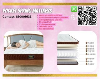 🛌[SG STOCK] Levia's Pocket Spring Mattress Soft Anti-mite 🛌