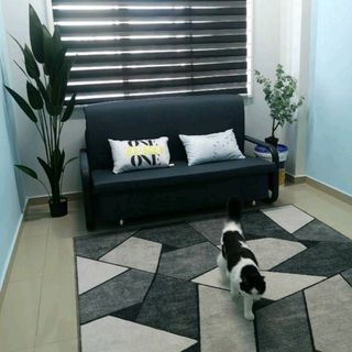 (Category: ) located in . Submitted by cerimeri (Listing ID 1215790332, Image 1). Description: .