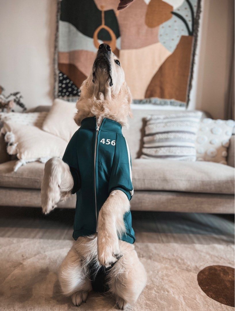 Squid Game Dog Costume, Pet Supplies, Health & Grooming on Carousell