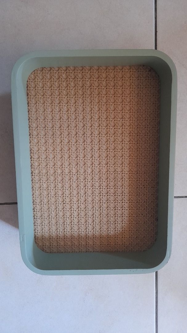 SSF Tray, Furniture & Home Living, Home Decor, Other Home Decor on ...