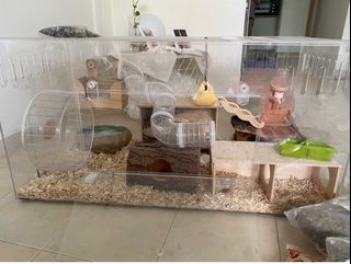 (Category: ) located in . Submitted by sweetbunny (Listing ID 1215818940, Image 1). Description: .