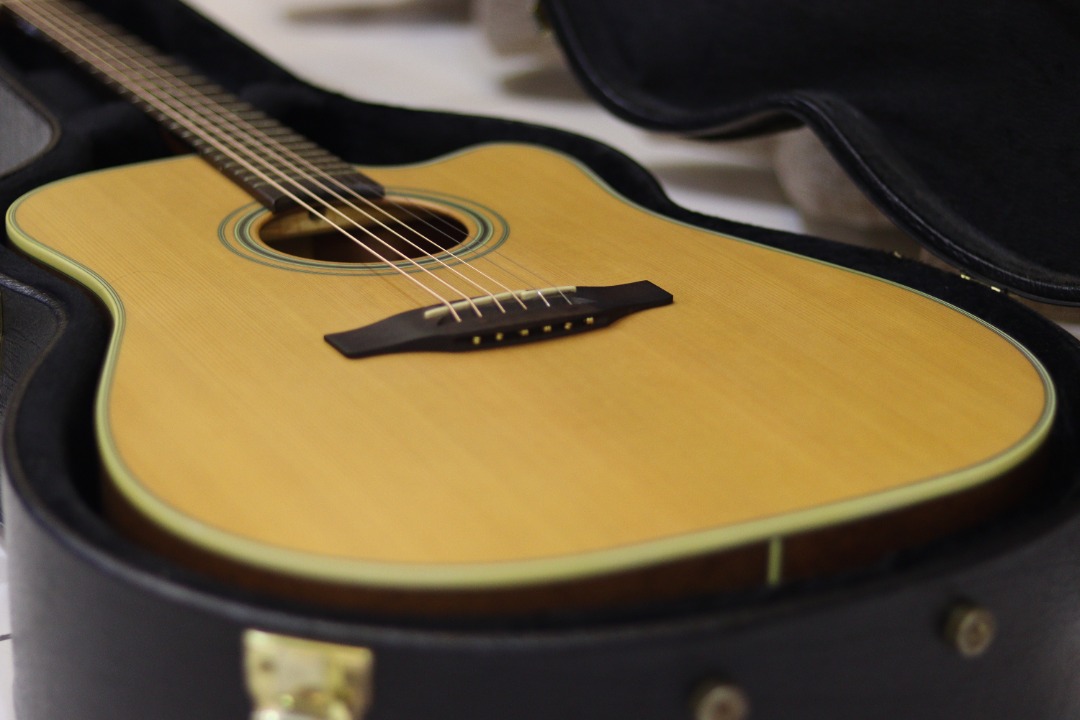 Takamine higherend G20 series acoustic guitar (with pickup), Hobbies & Toys, Music & Media