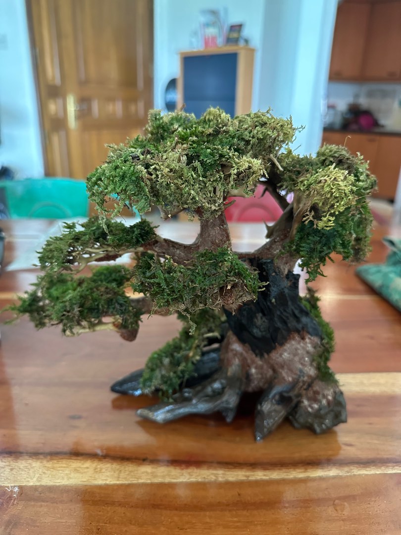 Bonsai Driftwood with Moss, Pet Supplies, Homes & Other Pet Accessories