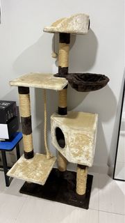 (Category: ) located in . Submitted by Momo91 (Listing ID 1216024110, Image 1). Description: .