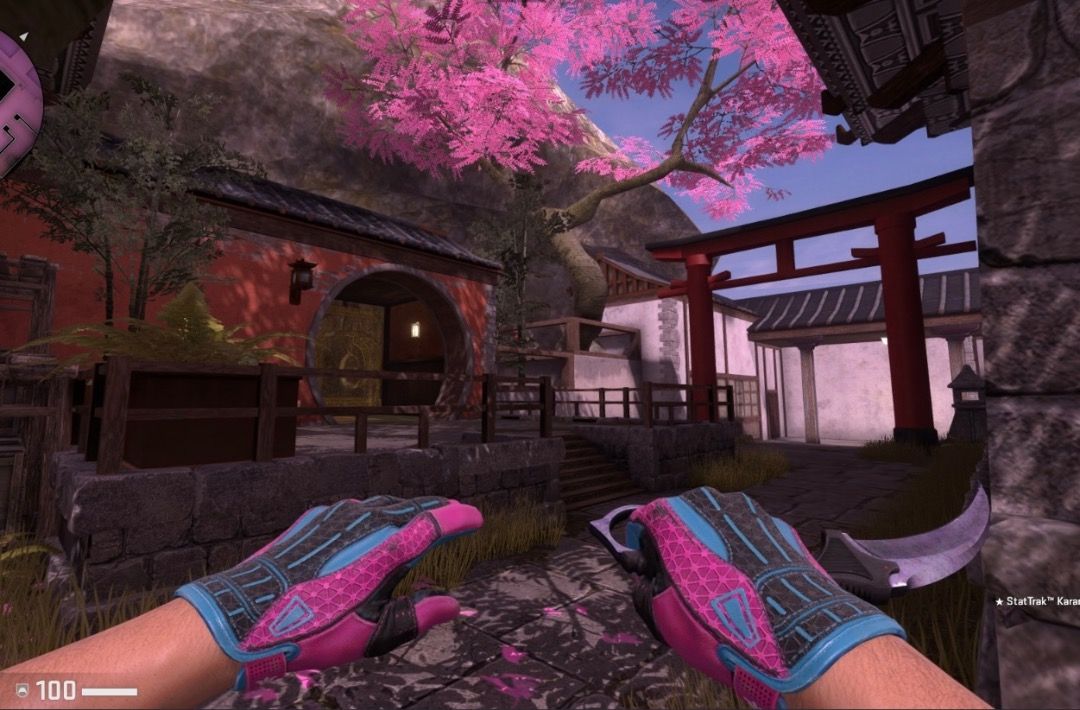 Csgo Statrak karambit blue steel, Video Gaming, Gaming Accessories, In ...