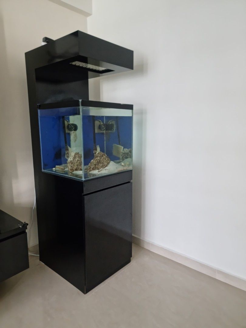 BEAUTIFUL FISH TANK SETUP FOR SALE, Pet Supplies, Homes & Other Pet