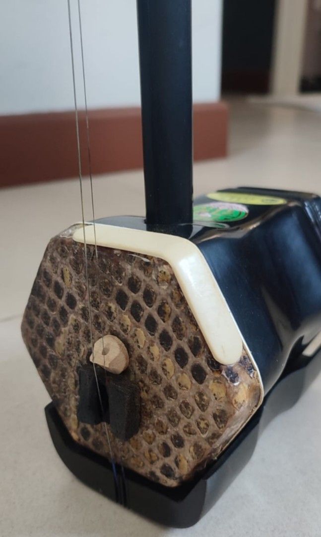 D’Addario ERHU01 Erhu Saiten – Medium Spannung 10–18 | Für Traditionelles Chinesisches Instrument