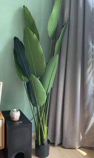 (Category: ) located in . Submitted by debbdebb (Listing ID 1215938177, Image 1). Description: .