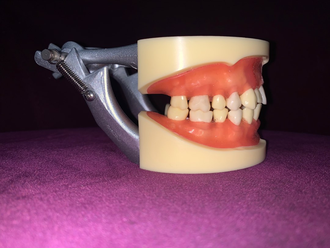 Oral Surgery Articulator, Health & Nutrition, Medical Supplies & Tools on Carousell
