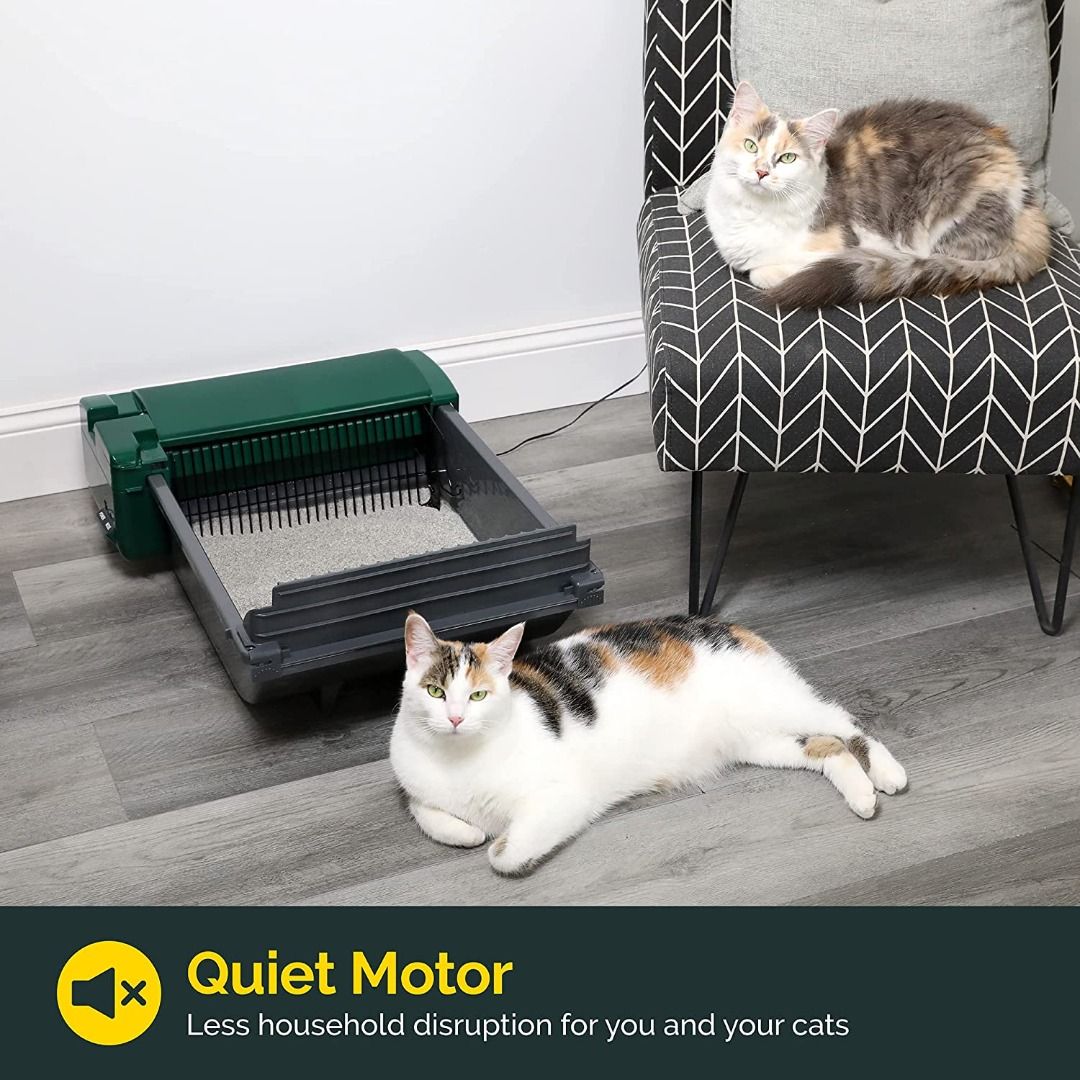 Automatic cat litter box refills new arrivals