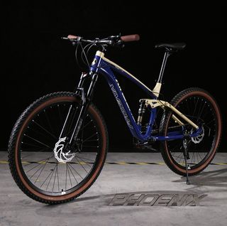 Affordable phoenix mtb For Sale Carousell Singapore