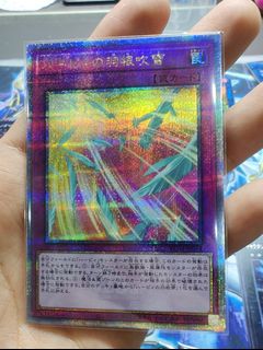 (Category: ) located in . Submitted by misteriot (Listing ID 1216015862, Image 1). Description: .