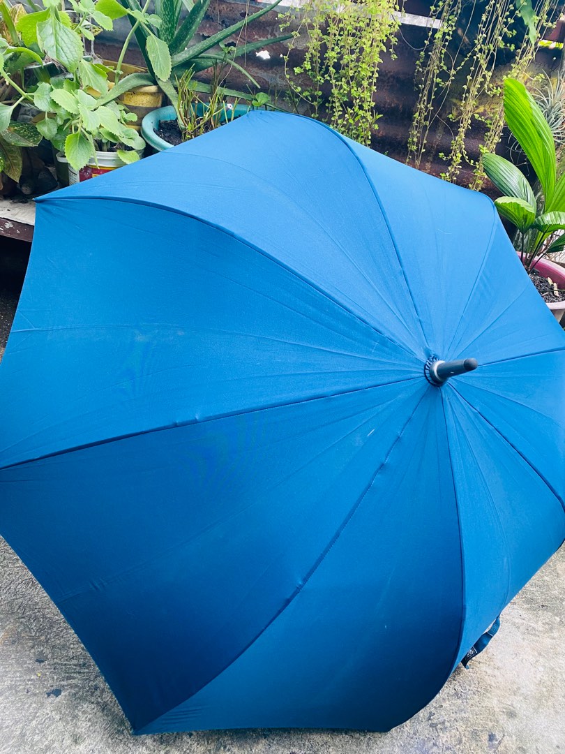 Royal Blue Japan Umbrella on Carousell