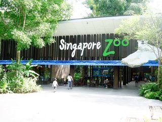 Zoo cheap ticket discount Singapore Bird Park River wonder Night Safari Aquarium flyer Universal studios adventure cove cable car garden by the bay sky park trick eye madam tussauds cable car head rock vr mega adventure duck tour aj Hackett kiztopi