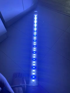 (Category: ) located in . Submitted by safebird.0f2f8d (Listing ID 1216075324, Image 1). Description: .