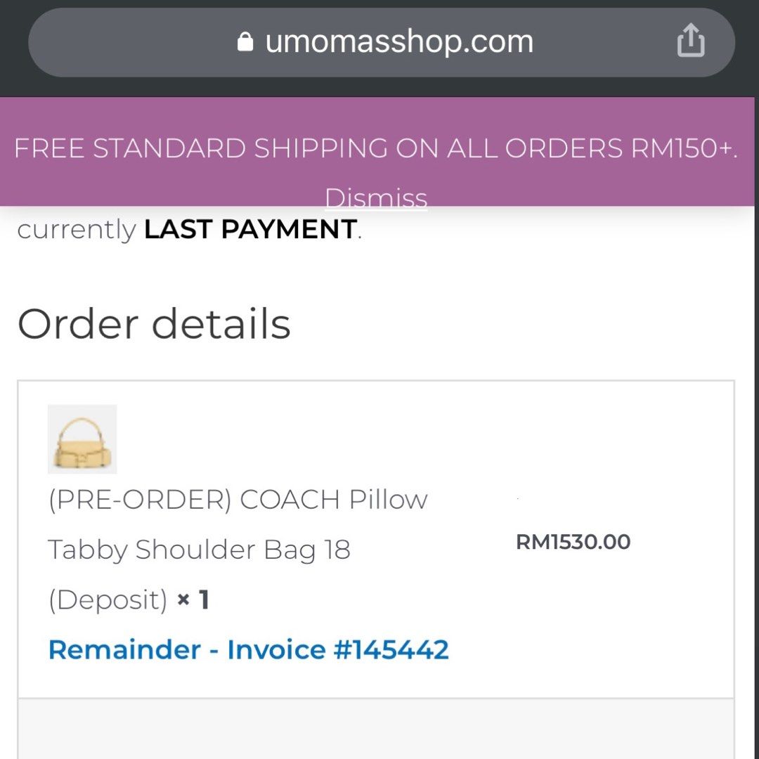 PRE Order) MARC JACOBS Pillow Bag – uMoMasShop
