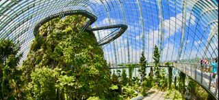 Garden by the bay cheap ticket discount flower and cloud forest domes Floral Fantasy Supertree Super tree Observatory Avatar Sky Park Marina observation deck ocbc skyway Singapore flyer Nerf Action Xperience ArtScience art science museum duck tour