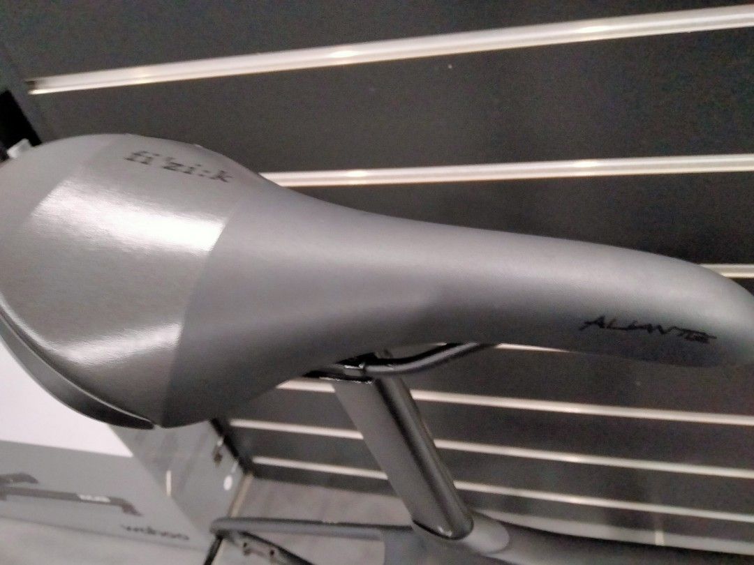 giant tcr advanced pro frameset weight