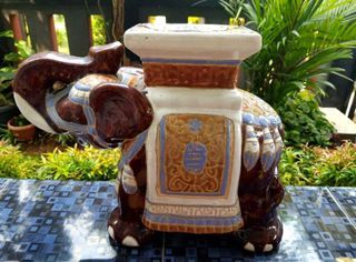 GUCI GAJAH BETINA VIETNAM