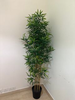（分類：）位於 。 由 john.ng12 提交（商品編號 1216212894，圖片 1）。簡介： 。