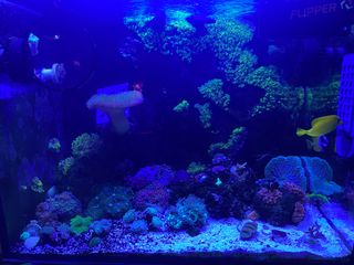 (Category: ) located in . Submitted by obprojectshandyman (Listing ID 1216133587, Image 1). Description: .