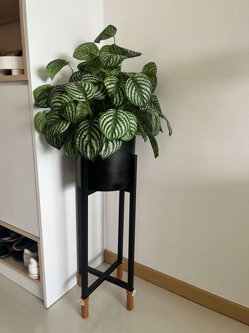 Indoor artificial plant with stand, Furniture & Home Living, Home Decor