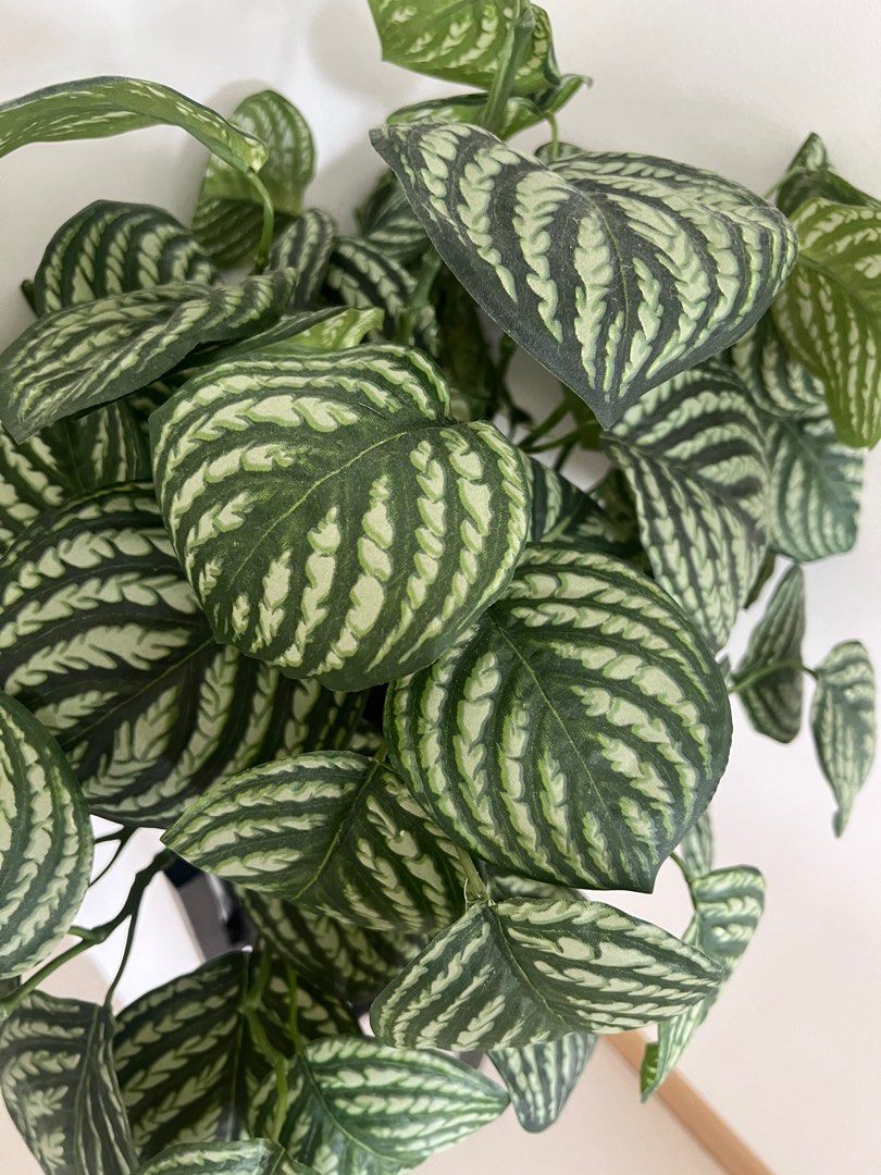 Indoor artificial plant with stand, Furniture & Home Living, Home Decor