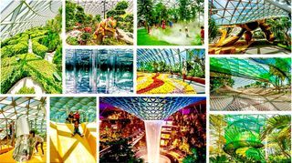Jewel Changi Airport cheap ticket discount Singapore change airport Hedge Maze Mirror Maze Manulife Sky Nets Walking Manulife Sky Nets Bouncing  Sentosa Aquarium Universal studios zoo head rock vr mega adventure aj Hackett garden by the bay duck tour sky