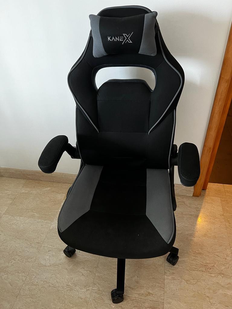 KaneX Gaming Chair Furniture Home Living Furniture Chairs on