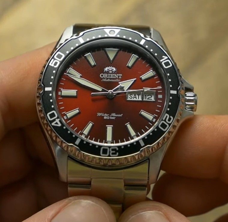 Orient kamasu maroon 2025