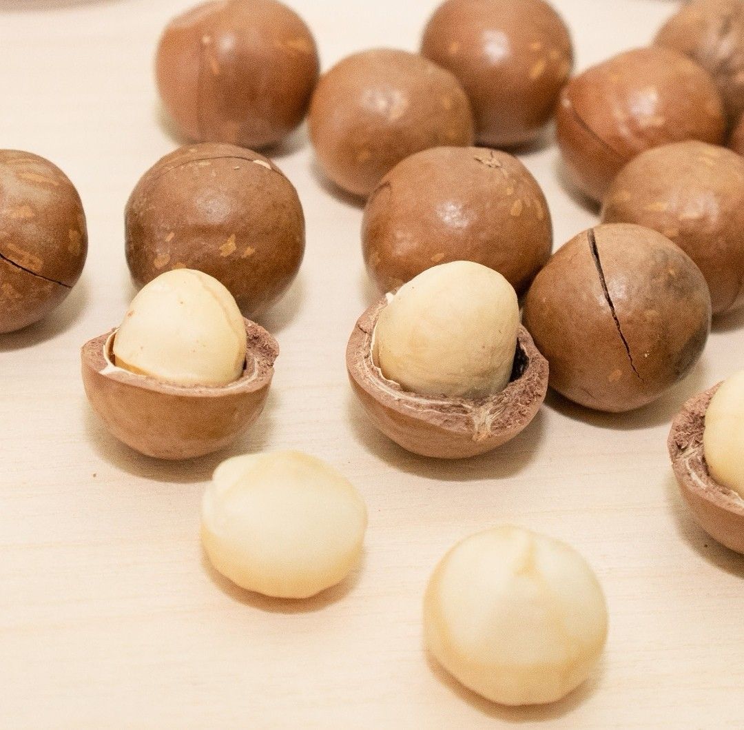Macadamia nuts in shell 250g & 500g, Food & Drinks, Packaged & Instant