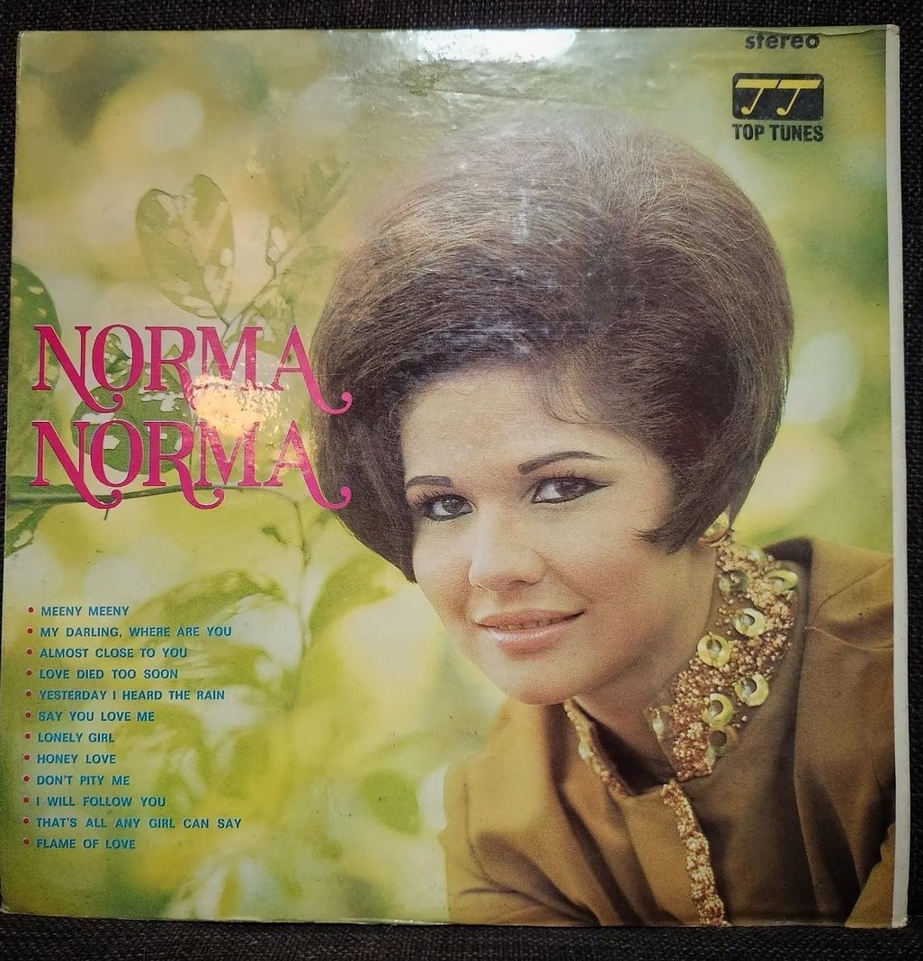 Lace Covered Window - Song by Norma Ledesma - Apple Music