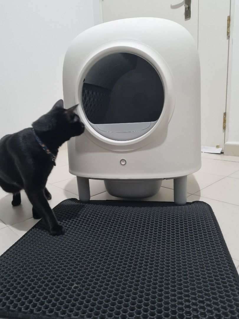 PETREE Automatic Cat Litter Box Gen 2, Pet Supplies, Homes & Other Pet