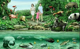 Singapore River Cruise cheap ticket Boat ride discount Clark quay Singapore flyer Garden by the bay sky park observation deck marina Aquarium Universal studios adventure cove cable car zoo river safari night safari duck tour snow city nerf kiztopia head
