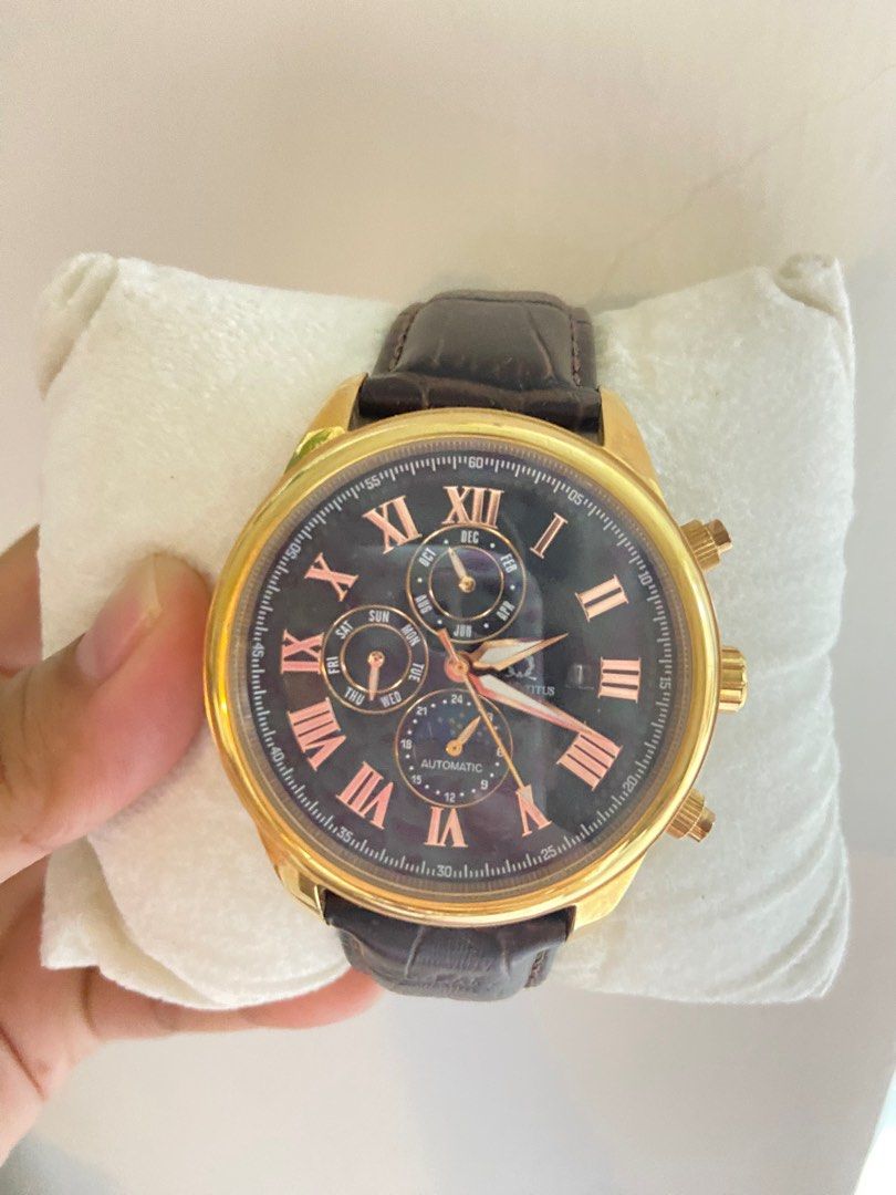 Titus watch sales strap replacement