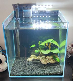 (Category: ) located in . Submitted by patsee (Listing ID 1216088524, Image 1). Description: .