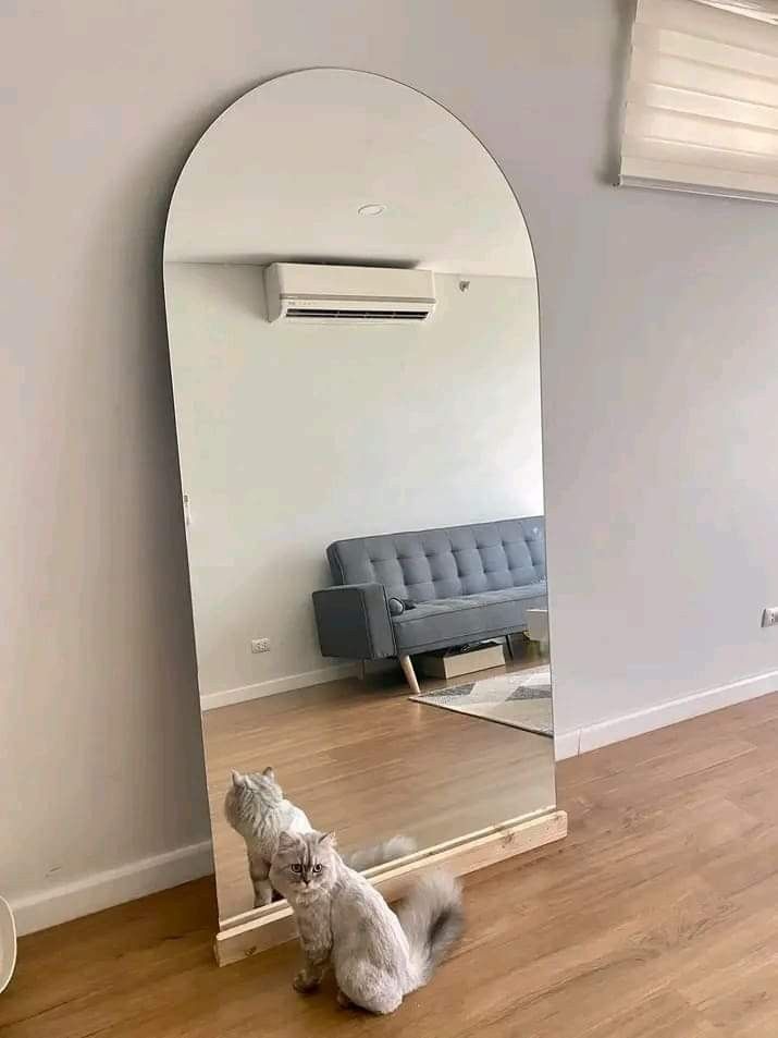 WHOLE BODY MIRRORS, Furniture & Home Living, Home Decor, Mirrors on