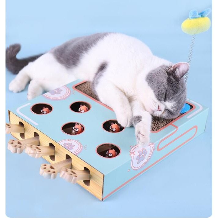 3 in 1 Cat Scratcher Enrichment Toys for Indoor Whack a Mole Game
