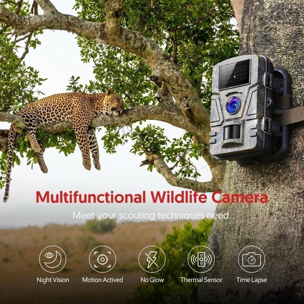 Hc200 hunting camera online