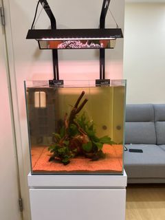 Aquarium Set Bundle - 45cm Cube Tank + Chihiros wrgb45 + stand + cabinet solid plywood (up to 200kg)