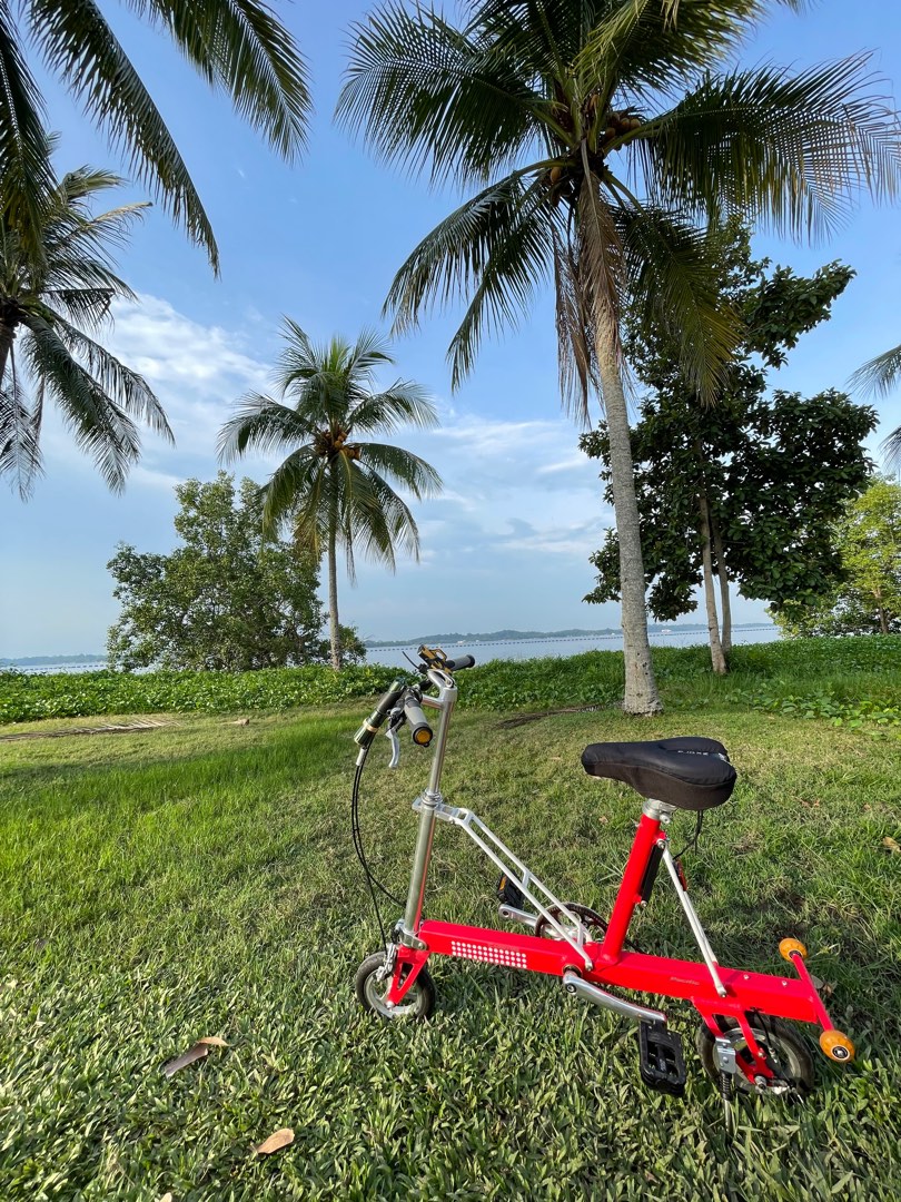 carry me bicycle