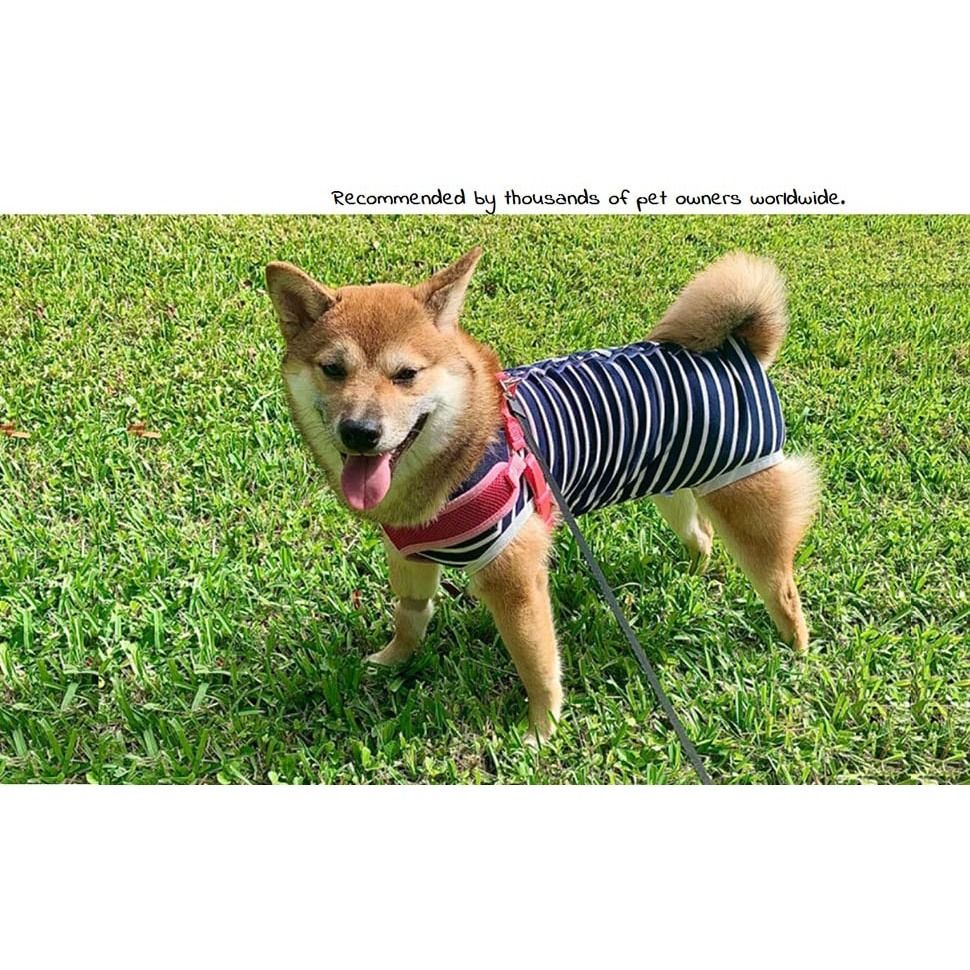 Dog Recovery Suit Abdominal Wound Puppy Surgical Clothes Post