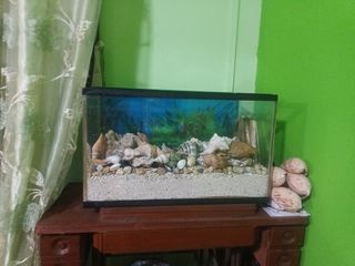 (Category: ) located in . Submitted by harithindra9 (Listing ID 1212954472, Image 1). Description: .