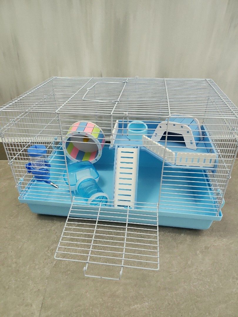 miniature doberman pinscher puppies for sale