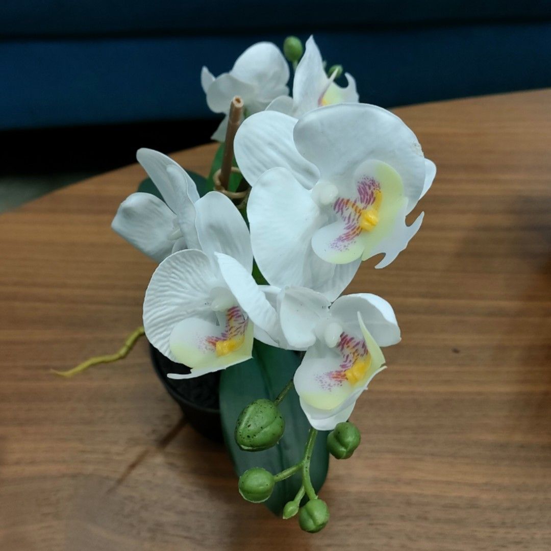 IKEA Artificial white orchid plant, Furniture & Home Living, Home Decor, Artificial Plants