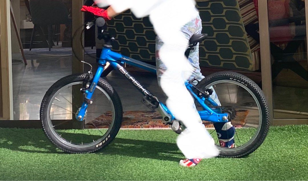 Isla bike cheap 16 inch weight