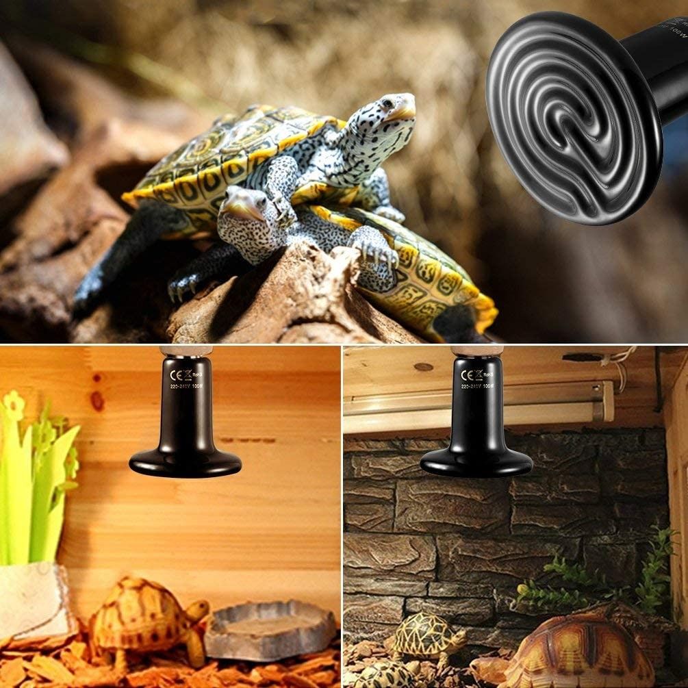 Ceramic heat lamp for hot sale reptiles