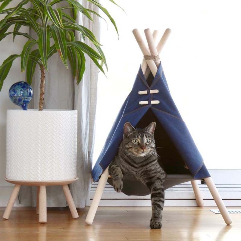 Adventure cat best sale bed
