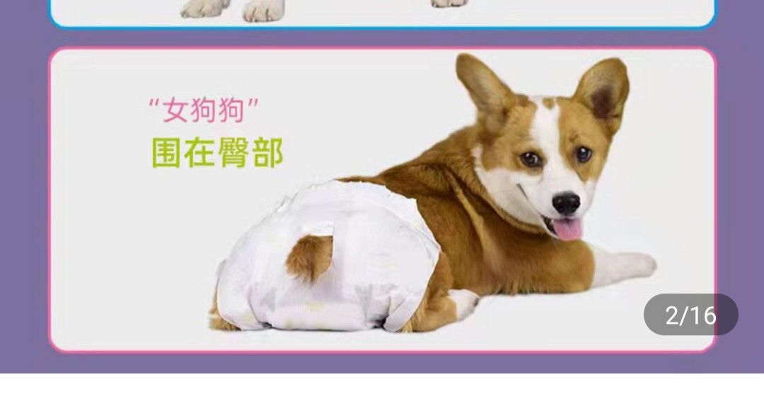 small pet diapers