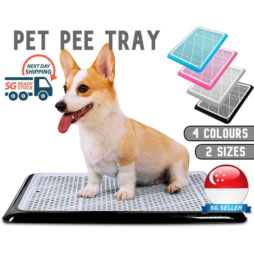 Pet Pee Tray/ Dog Pee Tray/ Plastic Pee Pan/ Urinary Trainer Pee Mat